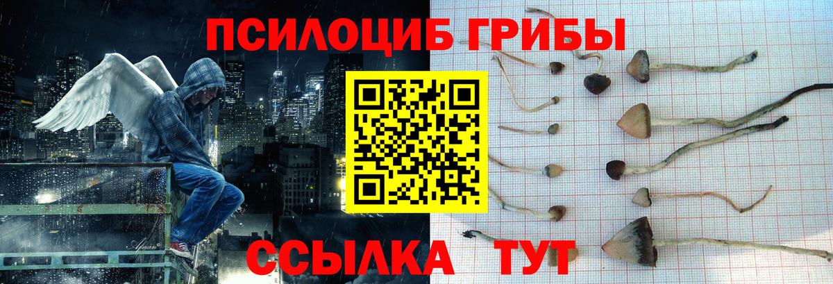 Кимовск  Псилоцибиновые грибы Cubensis  Вход с VPN 