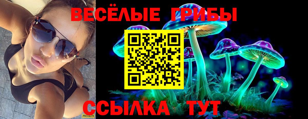 Псилоцибиновые грибы мицелий Кимовск