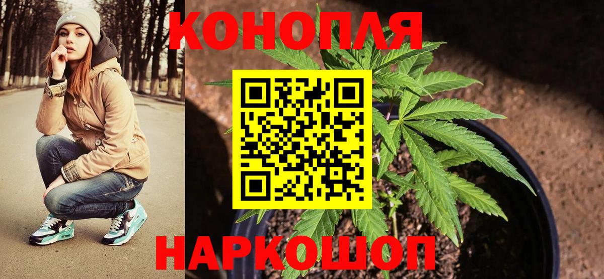Кимовск  Канабис LSD WEED  Марихуана LSD WEED  Шишки марихуана семена  Вход с VPN 